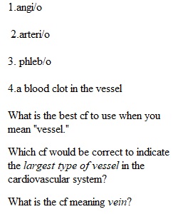 Chapter 10 Quiz